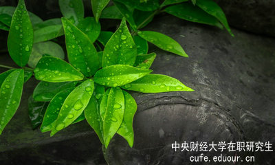 中央財(cái)經(jīng)大學(xué)同等學(xué)力申碩達(dá)到多少分才算通過考試？